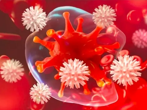 50% ca ung thư liên quan đến ăn uống: BS khuyên cách ăn 'diệt' tế bào ung thư