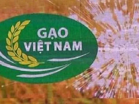 Phê bình Cục Chế biến và phát triển nông sản vì chậm tham mưu chứng nhận nhãn hiệu Gạo quốc gia