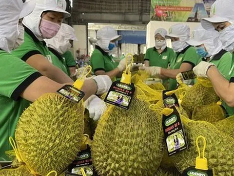 Rau quả Việt Nam xuất khẩu Trung Quốc tăng vọt