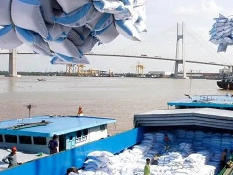 Việt Nam nhập gần 1 triệu tấn gạo mỗi năm