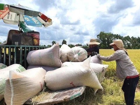 Bộ Công Thương đề xuất quản lý "chặt" việc nhập khẩu gạo