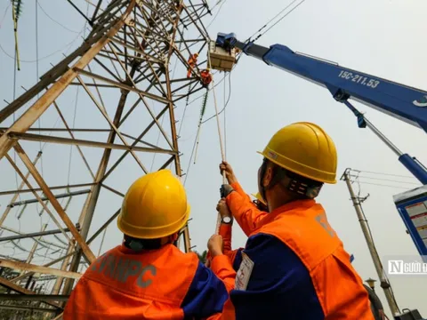 EVN đề xuất khung giá cho điện gió, điện mặt trời chuyển tiếp