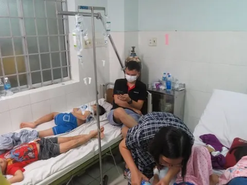 Nhiều học sinh nhập viện nguyên nhân ban đầu là do vi khuẩn Salmonella