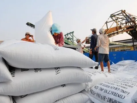 Là 'cường quốc' xuất khẩu gạo, vì sao Việt Nam phải nhập gần 1 triệu tấn gạo?