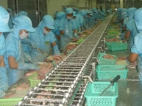 Xuất khẩu thủy sản lần đầu tiên cán mốc 10 tỷ USD vào cuối tháng 11 năm nay