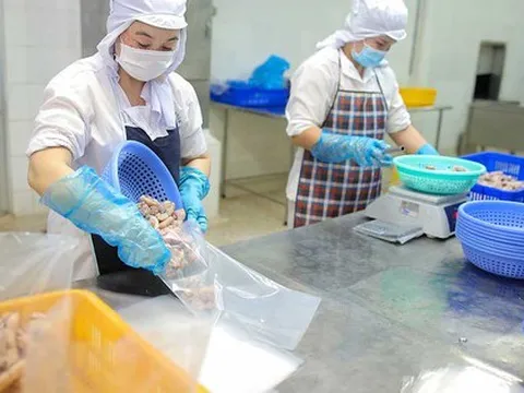 Lên kịch bản cho kinh tế Việt Nam năm 2023