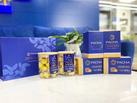 Tập đoàn PCorp ra mắt sản phẩm cao cấp Trà Hoa Vàng PACHA