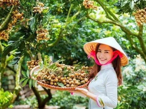 'Quá trình đàm phán mở cửa trái nhãn sang Nhật Bản rất ly kỳ'