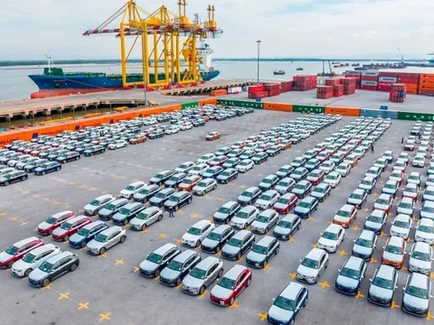 999 ô tô điện VinFast VF8 xếp cạnh nhau trông thế nào?