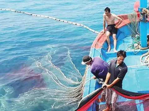 Sau thị sát, EC khuyến cáo gì để gỡ 'thẻ vàng' thủy sản Việt Nam?