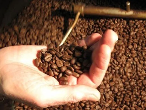 Kịch bản nào cho giá cà phê trong năm 2023?