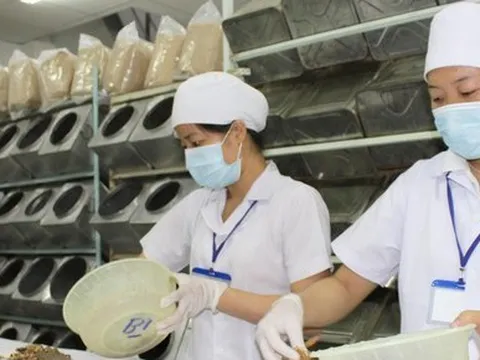 Thuốc quảng cáo, bán trôi nổi trên mạng: Hiểm họa khôn lường