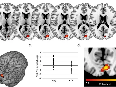 Não phụ nữ có "biến" lớn khi mang thai