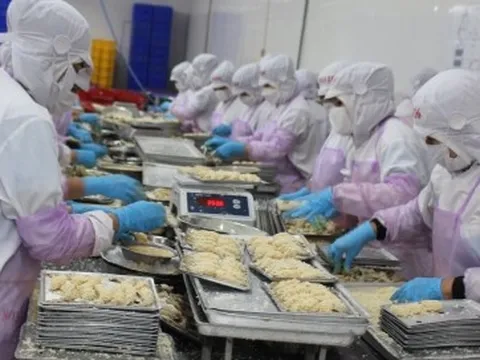 Chỉ vì cái khay nhựa, một DN thuỷ sản Việt mất thị trường xuất khẩu vào EU