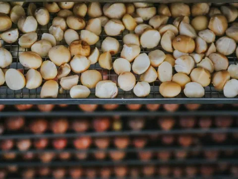 Giá ‘nữ hoàng của các loại hạt' tăng chóng mặt, huyện vùng núi tăng diện tích lên 1.000 lần