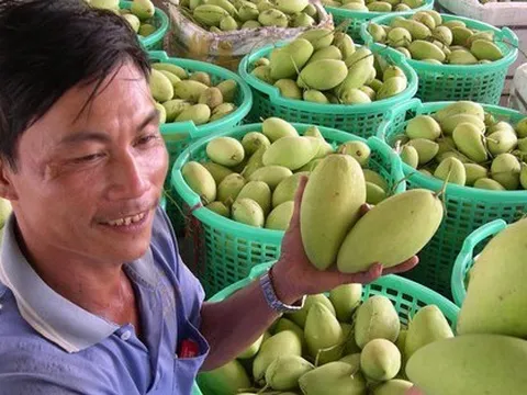 Nông sản Campuchia ‘đổ bộ’ vào Việt Nam