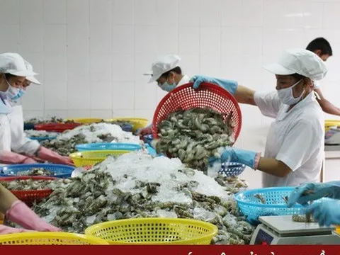 Xuất khẩu thủy sản có khả năng sẽ cán mốc 11 tỷ USD