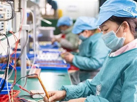 [INFOGRAPHIC] Sự phát triển doanh nghiệp Việt Nam giai đoạn 2016-2022