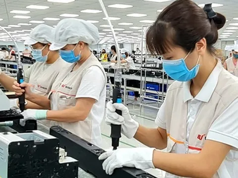 Một lĩnh vực chiếm gần 50% tổng vốn đầu tư của Việt Nam ra nước ngoài 11 tháng năm 2022