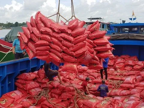 Châu Âu mua nhiều gạo thơm, gạo chất lượng cao từ Việt Nam
