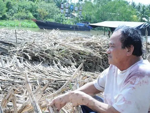 Chủ ghe mía như ‘ngồi trên đống lửa’ chờ nhà máy đường nhập hàng