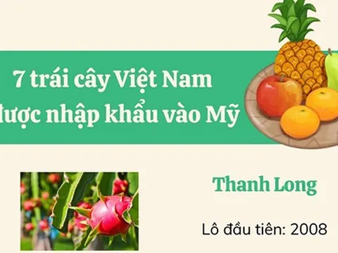 7 loại trái cây Việt xuất khẩu sang Mỹ là những loại nào?