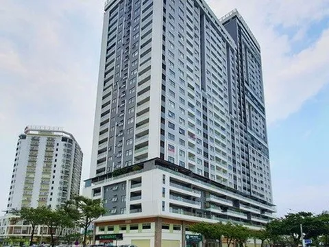 Thêm 1 sếp Công ty Đầu tư Phát triển nhà Đà Nẵng bị khởi tố