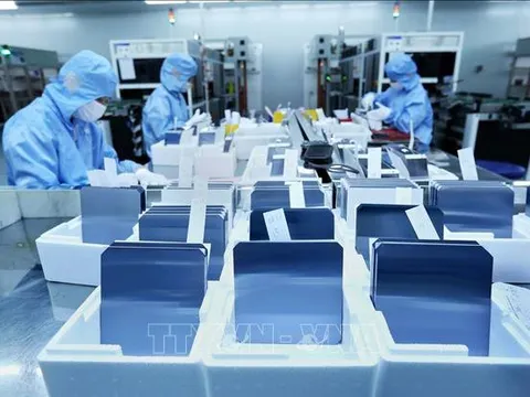 Chuyên gia Hong Kong (Trung Quốc) đánh giá cao tiềm năng thị trường tiêu dùng Việt Nam