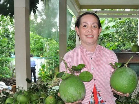 Nông sản Việt rộng đường xuất ngoại