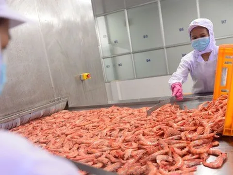 Xuất khẩu nông sản vượt kỷ lục, thủy sản lần đầu chạm mốc 10 tỉ USD