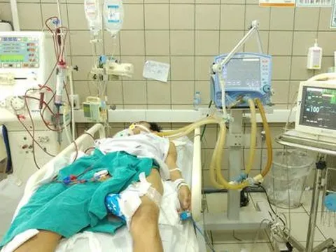 Sau khi ăn cá chình, người đàn ông bị cấp cứu vì ngộ độc nặng