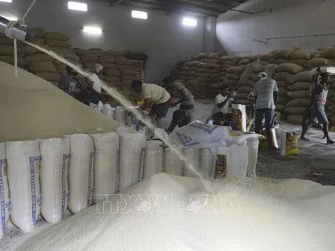 Ấn Độ dỡ bỏ lệnh cấm xuất khẩu gạo
