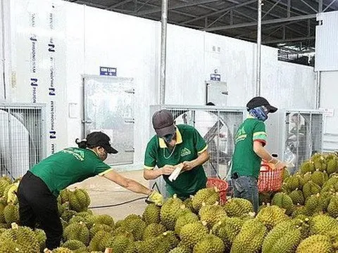 Điểm danh 8 nông sản Việt giá trị tỷ USD xuất khẩu nhiều nhất sang Mỹ