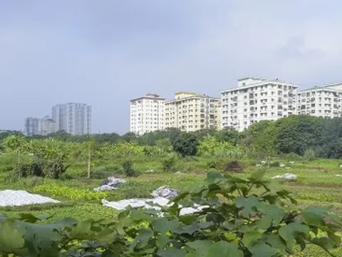 Cận cảnh dự án nghìn tỷ bỏ hoang được người dân tận dụng trồng rau và đổ rác thải