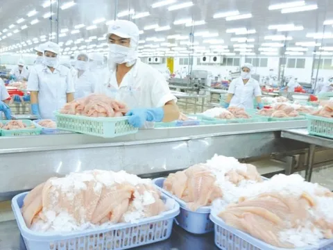 VASEP dự báo về bức tranh kém sáng của xuất khẩu thuỷ sản tháng 12