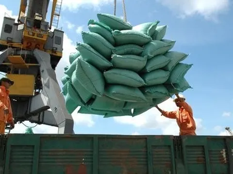 VCCI: Thận trọng với đề xuất áp dụng biện pháp quản lý nhập khẩu gạo