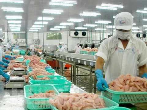Vì sao xuất khẩu thủy sản đang tăng phi mã bất ngờ tuột dốc?
