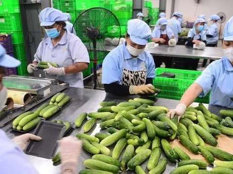 Không để đứt gãy nguồn cung nông sản, thực phẩm dịp Tết