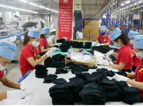 Doanh nghiệp chưa tận dụng hết lợi thế “1 mình 1 chợ” khi tham gia CPTPP