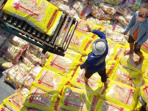 Nhiều cơ hội cho xuất khẩu gạo Việt Nam