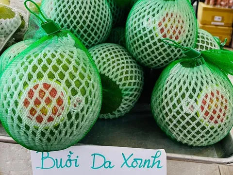 Bưởi da xanh bay đến Mỹ, giá hơn 500.000 đồng/kg