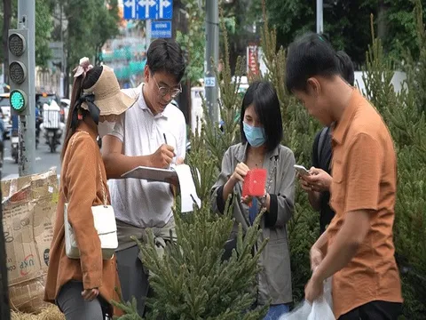 Thông tươi Đan Mạch, Nga “cháy hàng" trước Giáng sinh