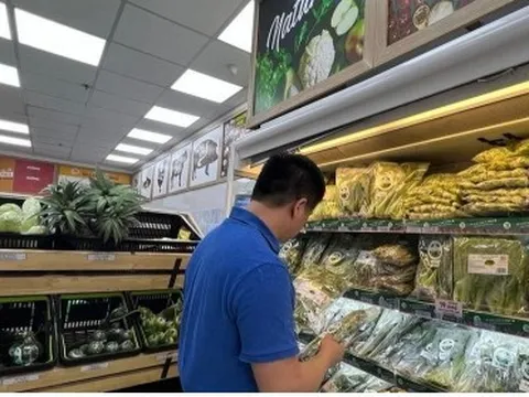 Nhiều sản phẩm rau củ không đạt tiêu chuẩn vẫn dán tem VietGAP, GlobalGAP