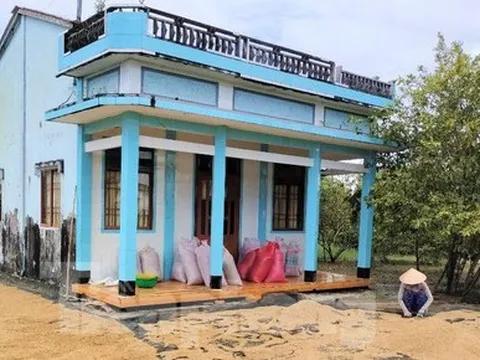 Sắp ‘giải cứu’ xong hàng nghìn tấn lúa Việt Nam ngon nhất thế giới bị ế