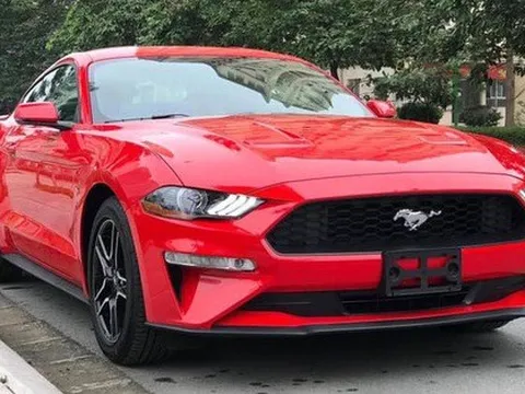 Ford Mustang và Chevrolet Camaro đang dần hết đất sống, đối mặt nguy cơ 'tuyệt chủng'