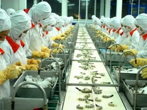 Nhà đầu tư Hoa Kỳ quan tâm lĩnh vực nào nhất tại Đồng bằng sông Cửu Long?