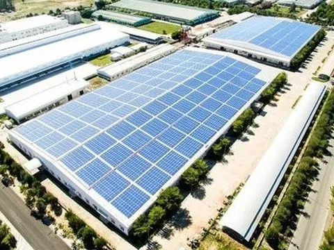 Bamboo Capital rót thêm 500 tỷ đồng vào công ty năng lượng