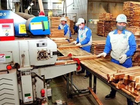 Ngành gỗ “khóc ròng” vì chậm hoàn thuế VAT cả nghìn tỷ đồng, nhiều doanh nghiệp trước ''bờ vực'' phá sản, Bộ NN&PTNT nói gì?