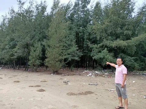 Tá hỏa phát hiện 4,2 ha đất rừng do gia đình trồng nhưng người khác lại đứng tên