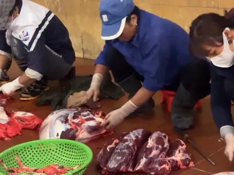 Nghi vấn “bò nhập khẩu” đường bộ